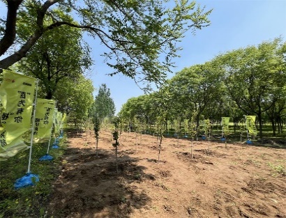 image7.jpeg image7.jpeg